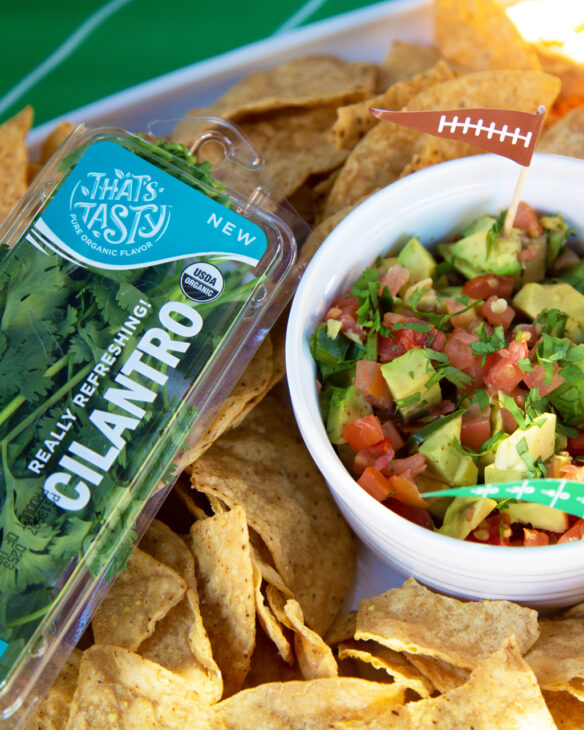 Guacamole with fresh cilantro