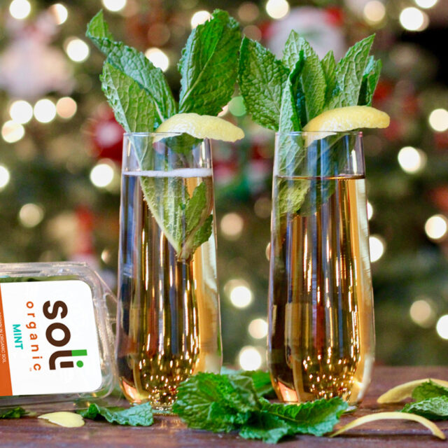 Image for Sparkling Mint Julep