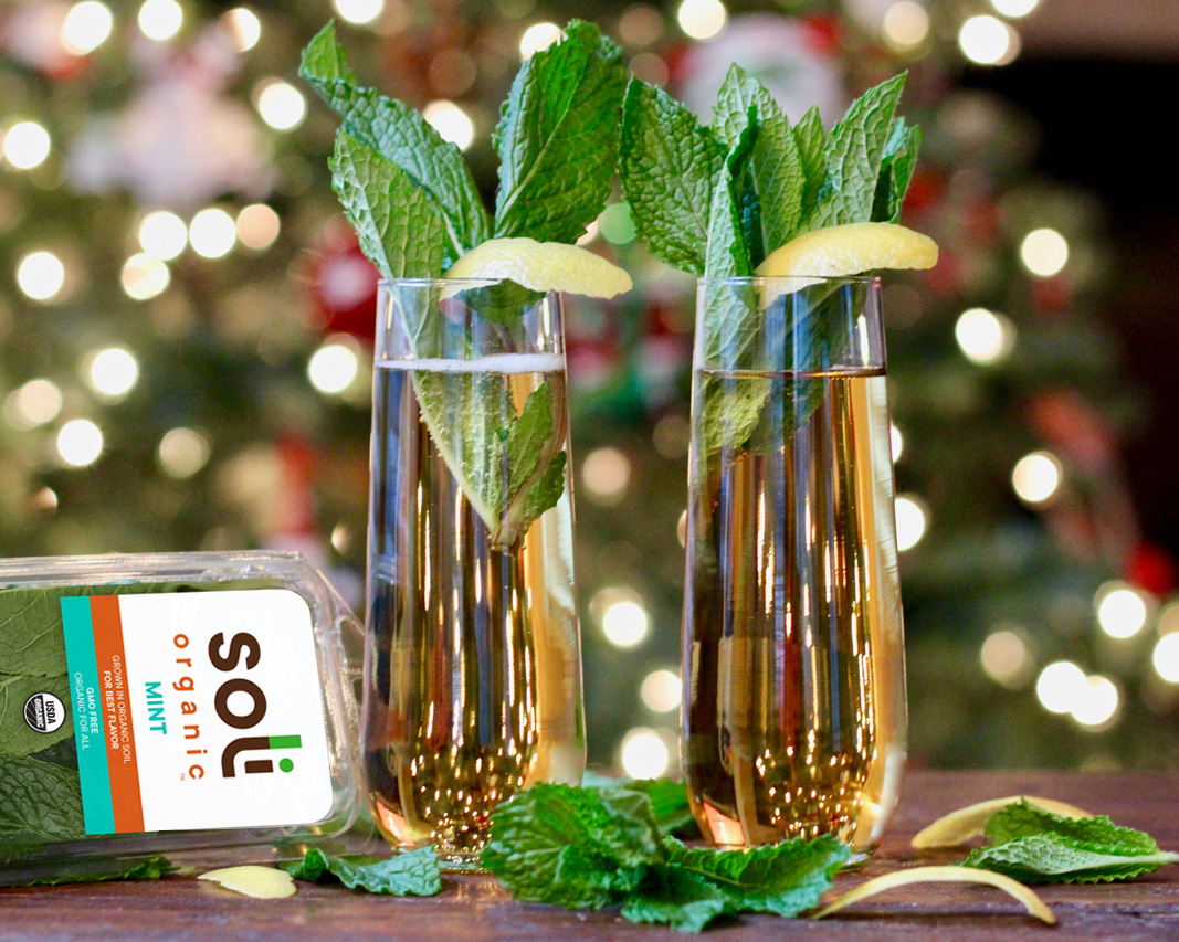Sparkling Mint Julep - Soli Organic