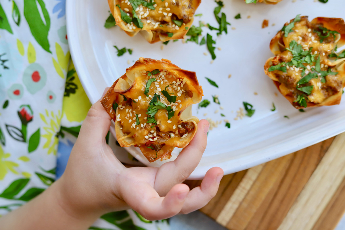 Korean Beef Wonton Cups - Soli Organic