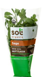 Organic Sage | Popular Peppery Flavor