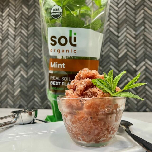 Image for Watermelon Mint Granita