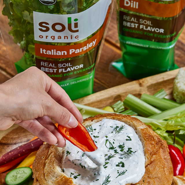 Image for Game Day Dill Dip