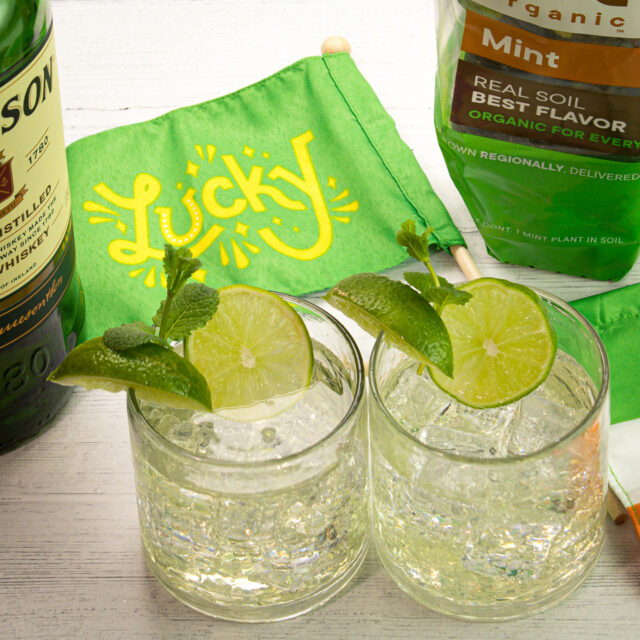 Image for Irish Ginger Whiskey Mojito With Mint