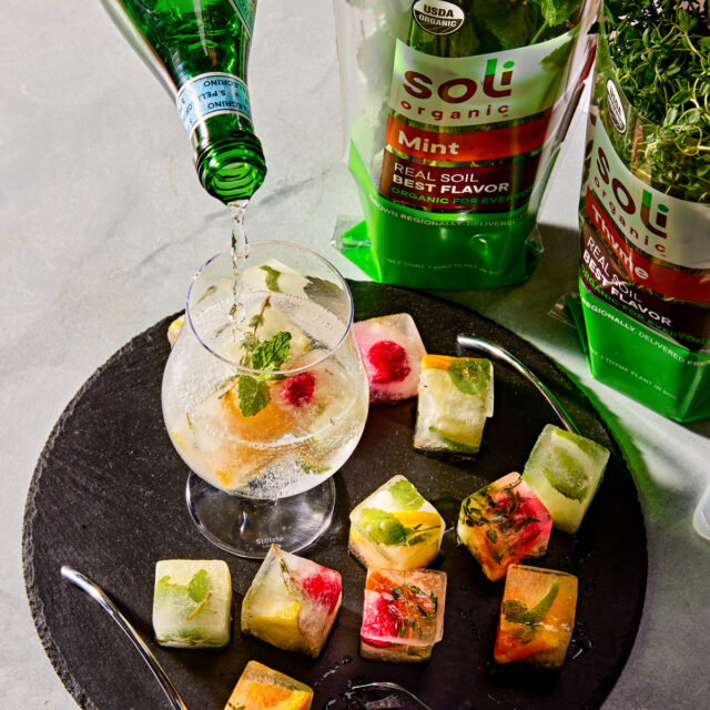 Image for Herb Ice Cubes