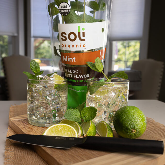 Image for Sake with Mint Cocktail