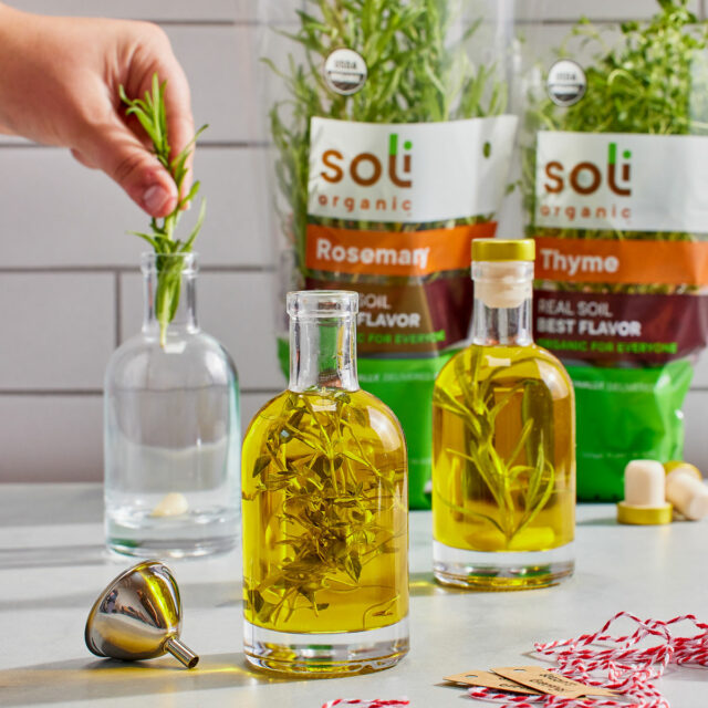 Image for Fresh Herb-Infused Garlic Olive Oil
