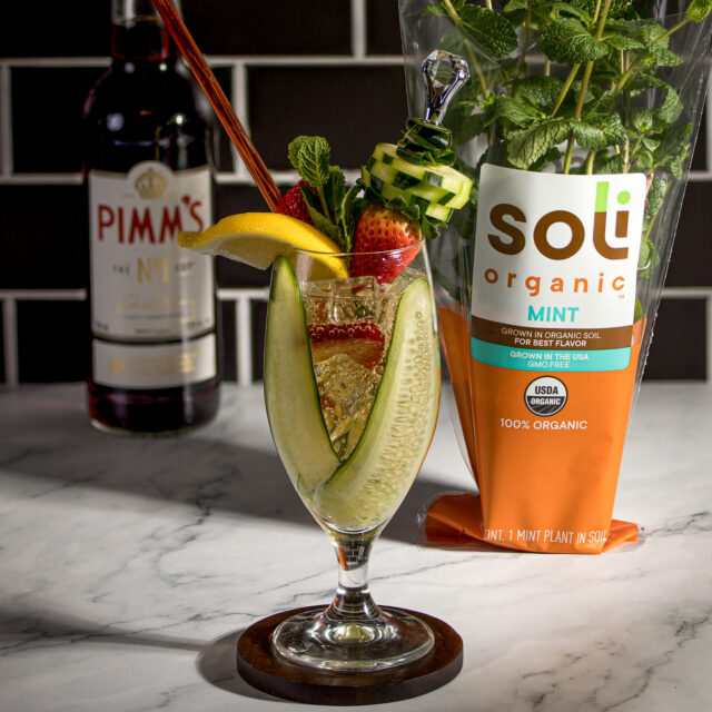 Image for Mardi Gras Pimm’s Cup