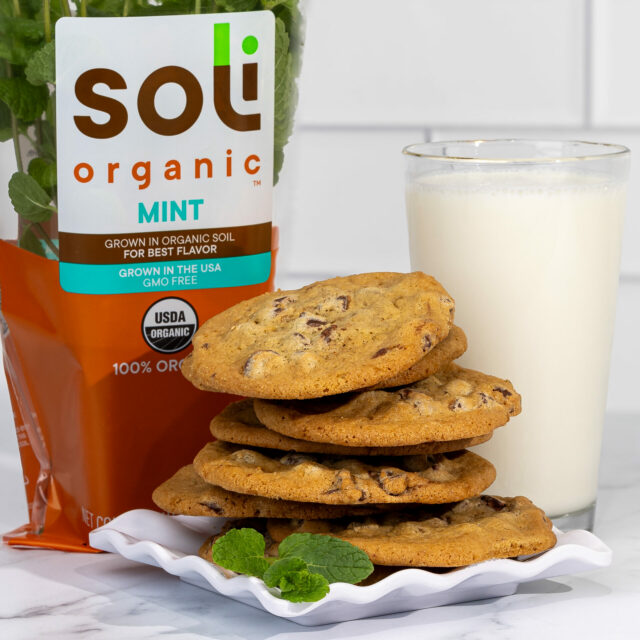 Image for Fresh Mint Chocolate Chip Cookies