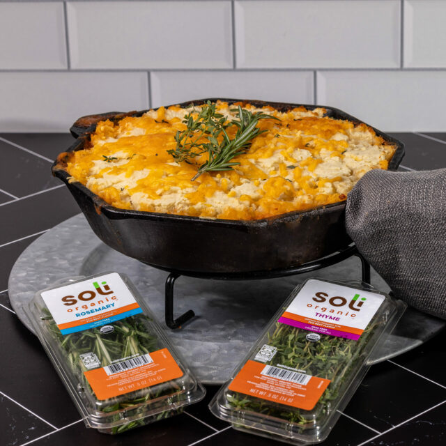 Image for St. Patrick’s Day Ground Turkey Shepherd’s Pie