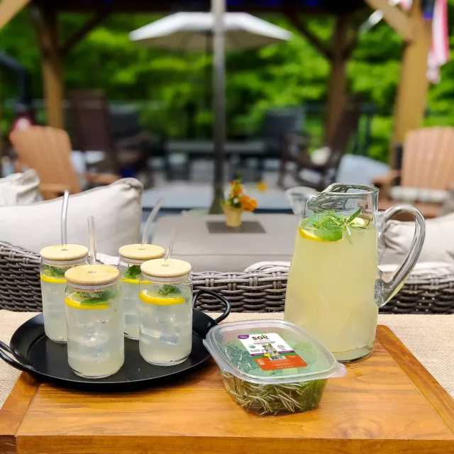 Image for Soli’s Herbal Dill Lemonade