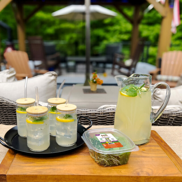 Image for Soli’s Herbal Dill Lemonade
